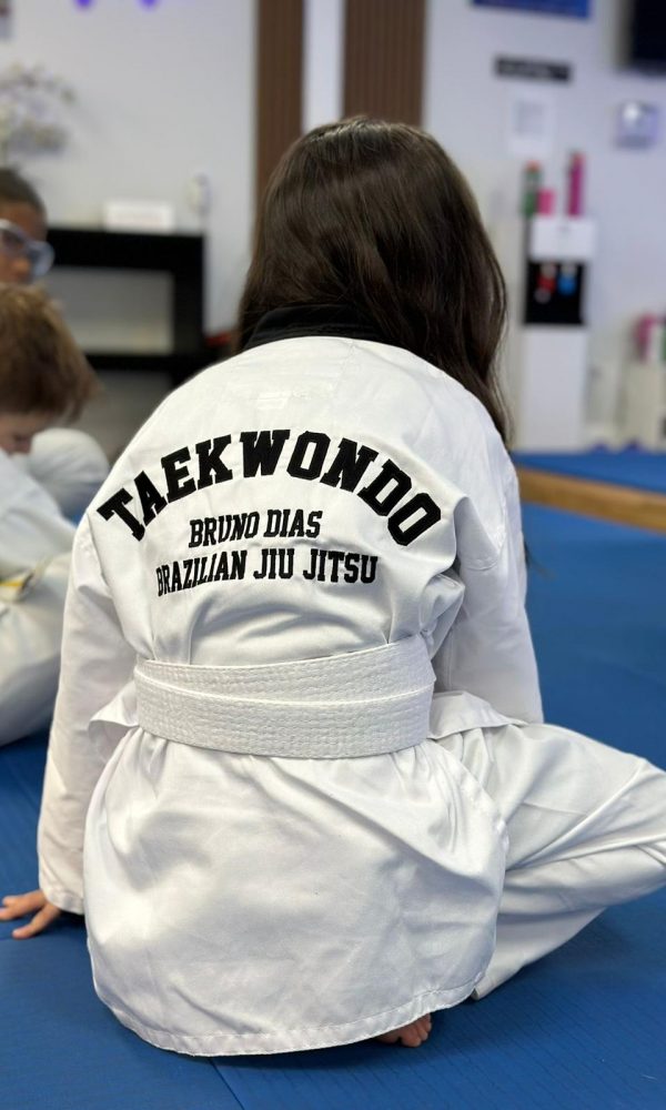 Jiu-Jitsu Classes in Clermont Taekwondo Classes in Clermont Muay Thai Classes in Clermont After School Program in Clermont Summer Camp in Clermont