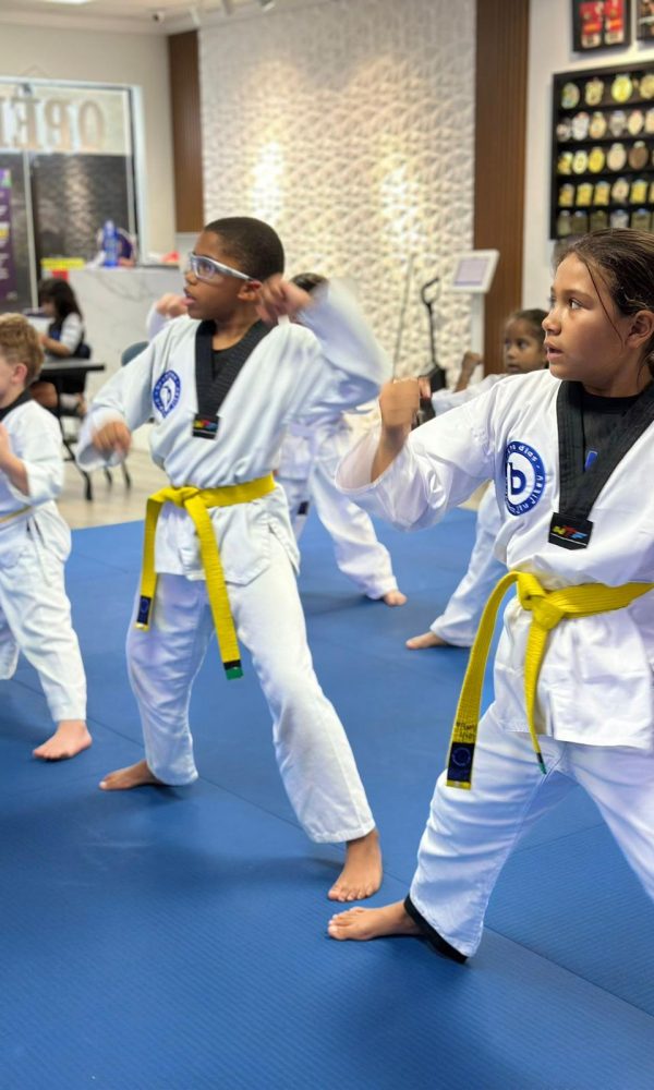 Jiu-Jitsu Classes in Clermont Taekwondo Classes in Clermont Muay Thai Classes in Clermont After School Program in Clermont Summer Camp in Clermont