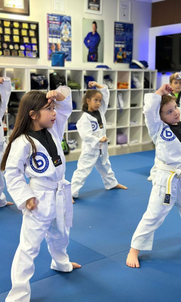 Jiu-Jitsu Classes in Clermont Taekwondo Classes in Clermont Muay Thai Classes in Clermont After School Program in Clermont Summer Camp in Clermont